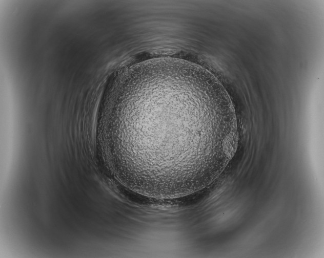 X0000087570745200704271247