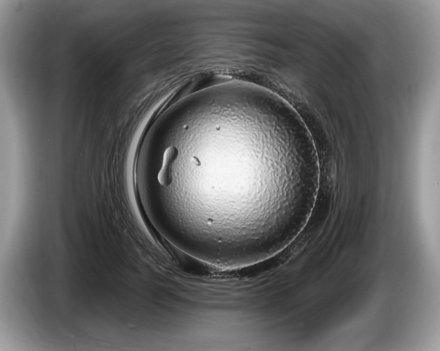 X0000087570746200704271247