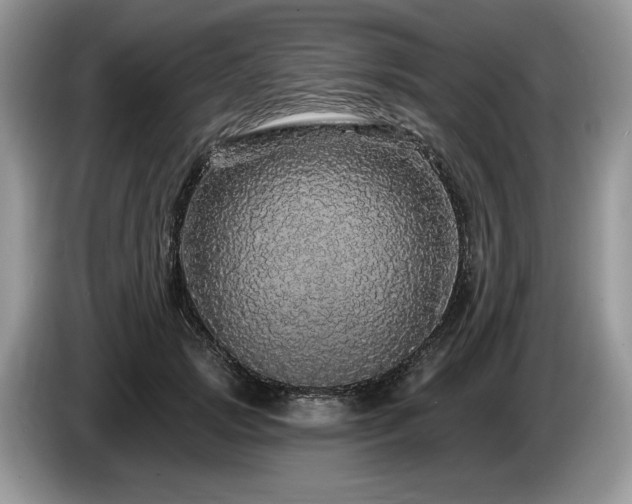 X0000087570749200704271247
