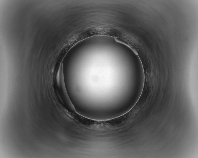X0000087570752200704271247