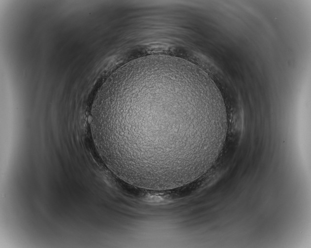 X0000087570753200704271247