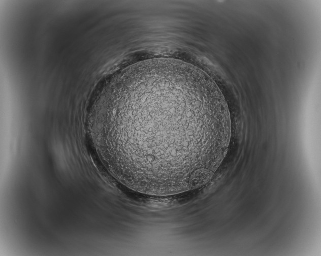 X0000087570757200704271247