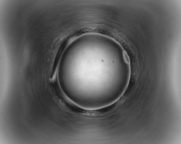 X0000087570758200704271247