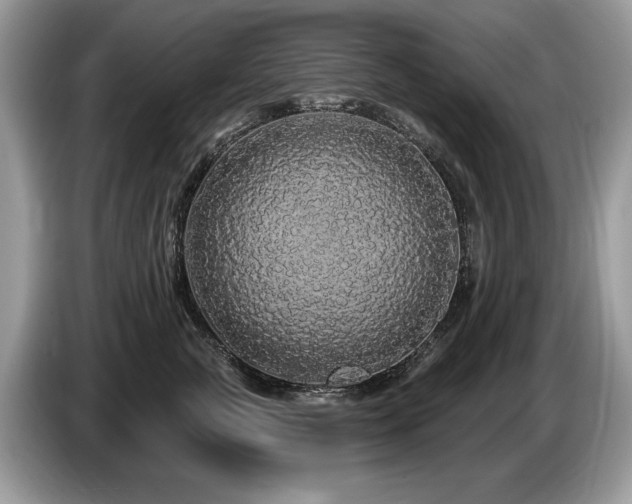 X0000087570761200704271247