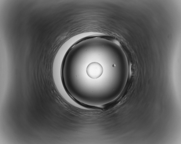 X0000087570762200704271247