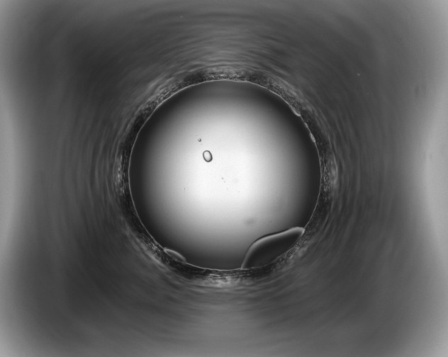 X0000087570764200704271247