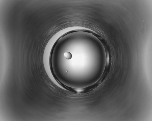 X0000087570766200704271247