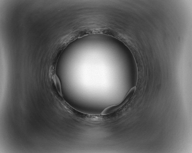 X0000087570768200704271247
