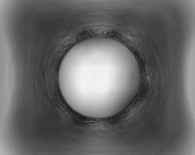 X0000087570769200704271246