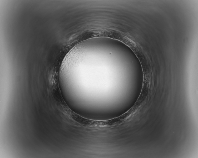 X0000087570770200704271246