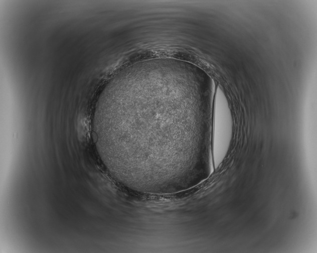 X0000087570772200704271246