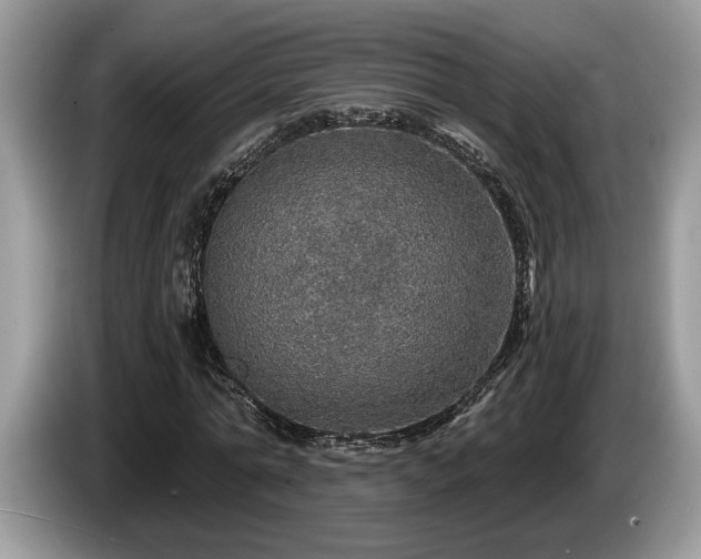 X0000087570774200704271246