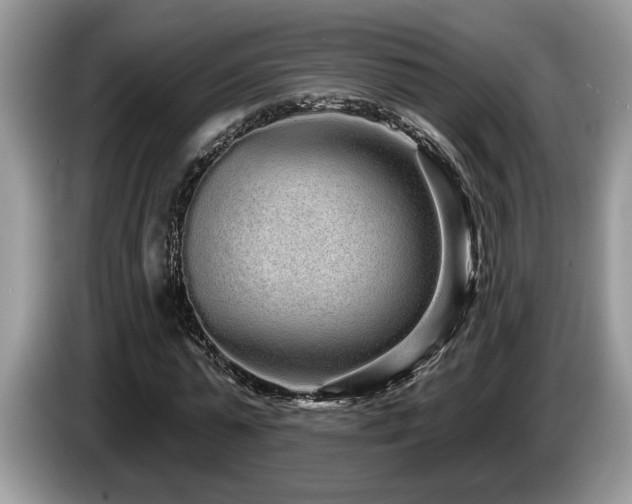 X0000087570775200704271246