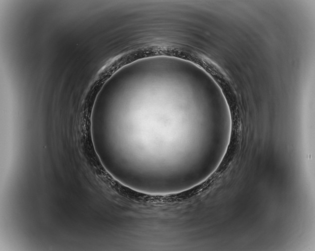 X0000087570776200704271246