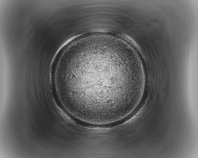 X0000087570779200704271246