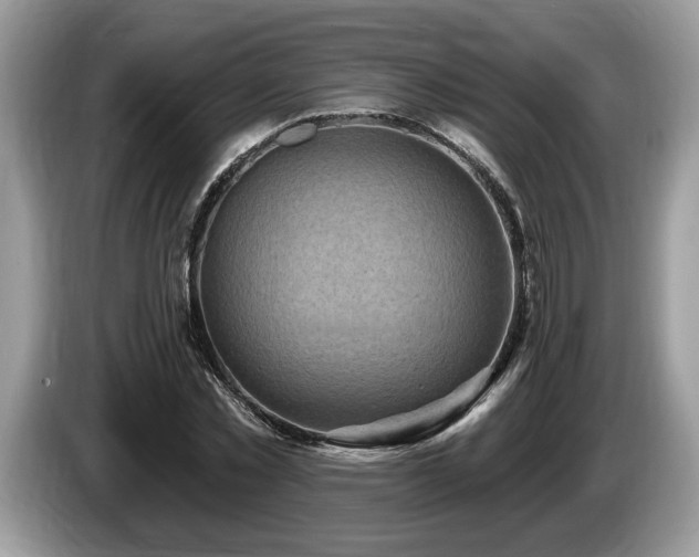 X0000087570781200704271246