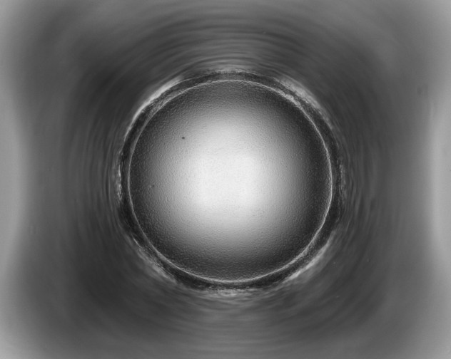 X0000087570782200704271246