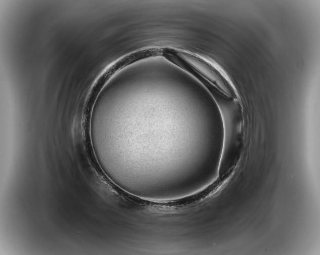 X0000087570783200704271246