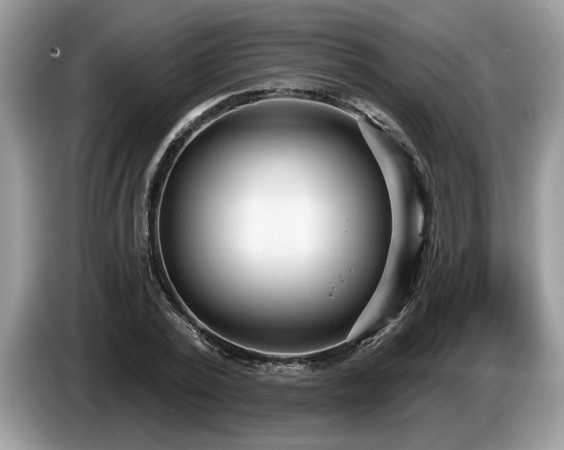 X0000087570784200704271246