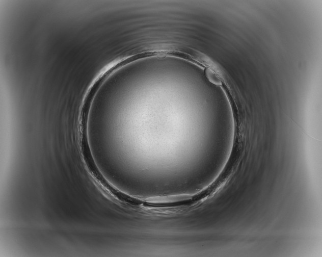 X0000087570787200704271246
