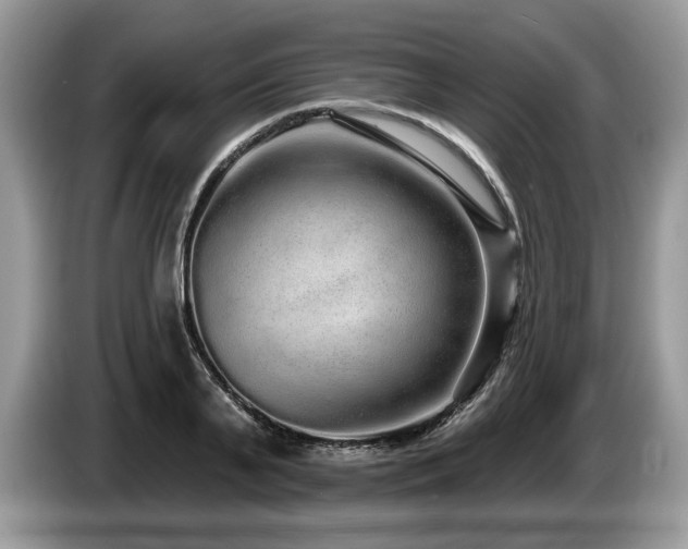 X0000087570791200704271246