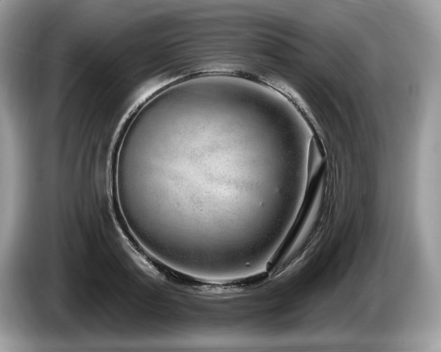 X0000087570795200704271246