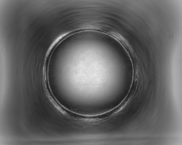X0000087570796200704271246