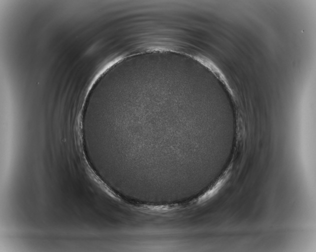 X0000087570798200704271246