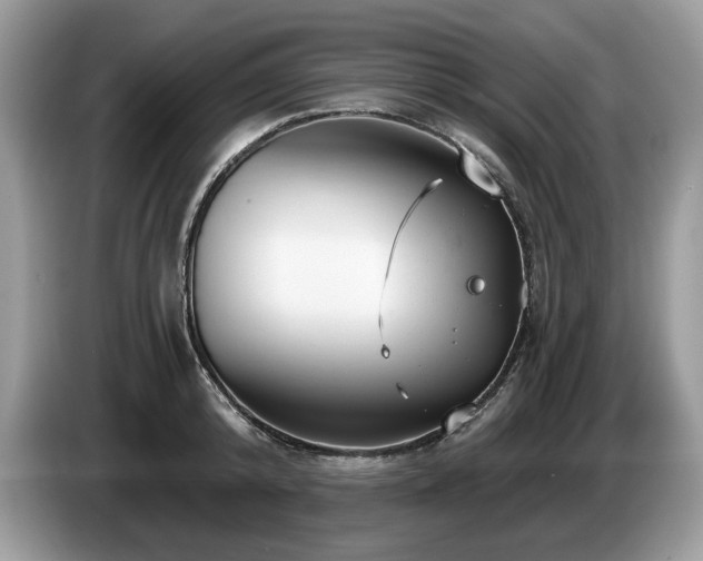 X0000087570800200704271246
