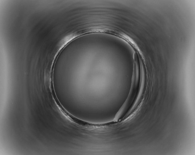 X0000087570802200704271246