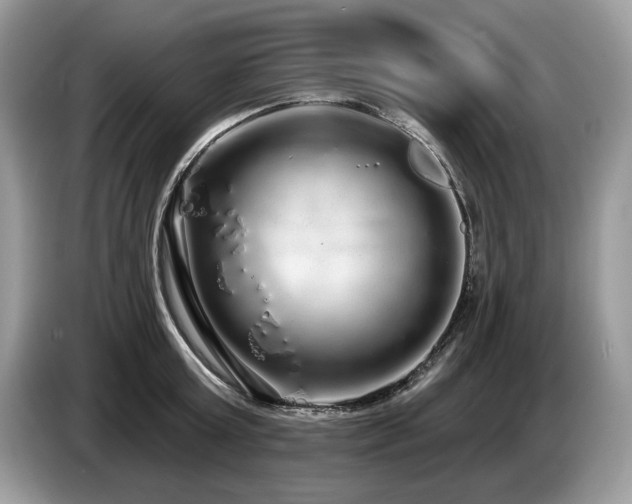 X0000087570803200704271246