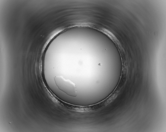 X0000087570804200704271246