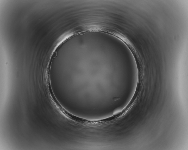 X0000087570806200704271246