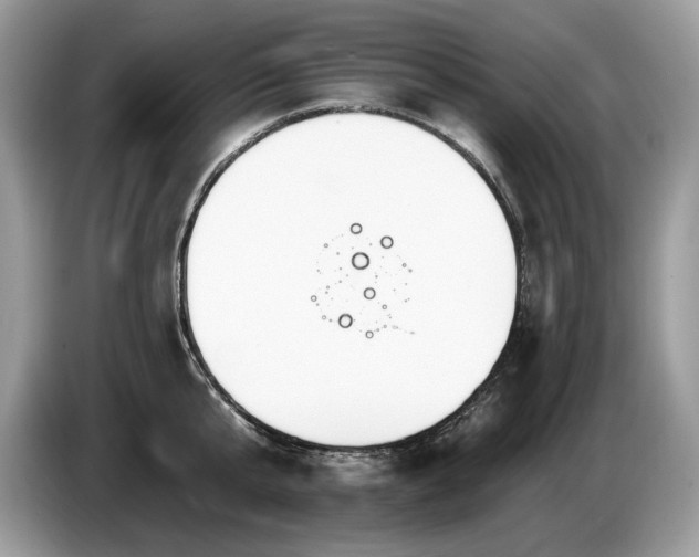 X0000087570807200704271246