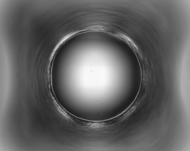 X0000087570808200704271246