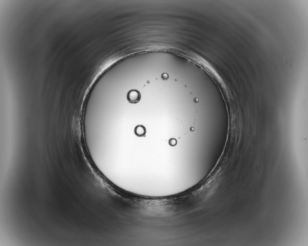 X0000087570810200704271246