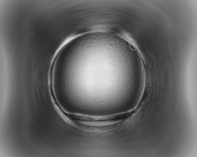 X0000087570811200704271246