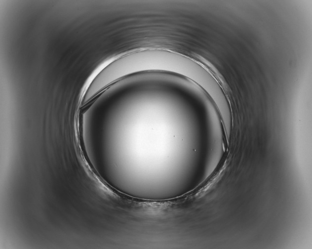 X0000087570812200704271246