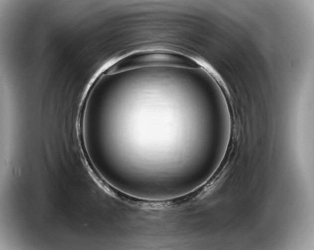 X0000087570813200704271246