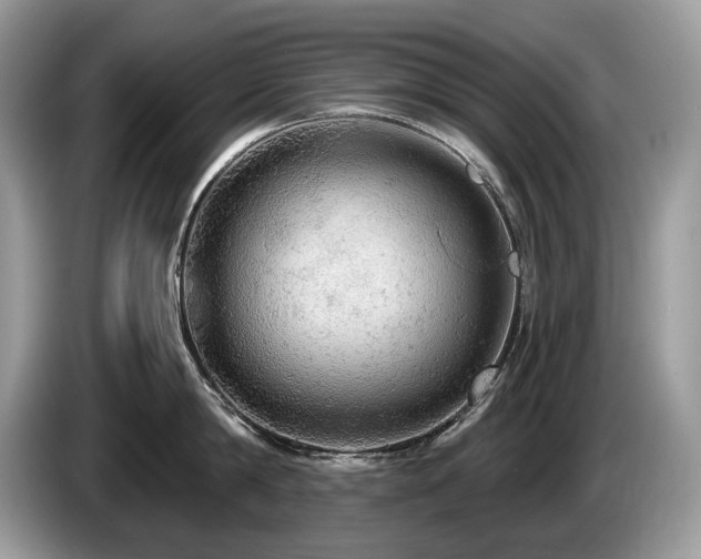 X0000087570814200704271246