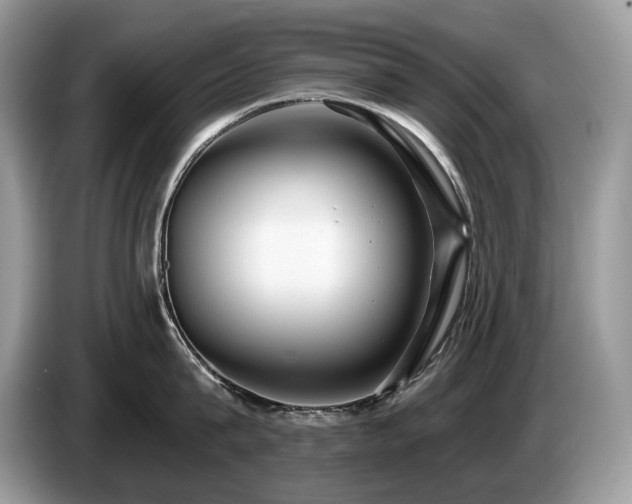 X0000087570815200704271246