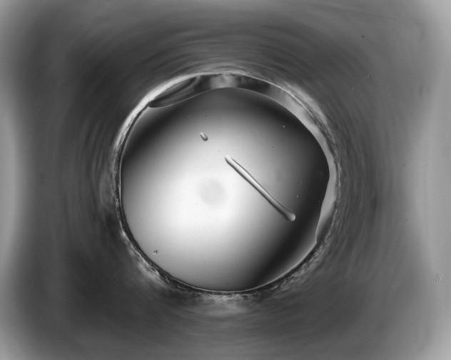 X0000087570816200704271246