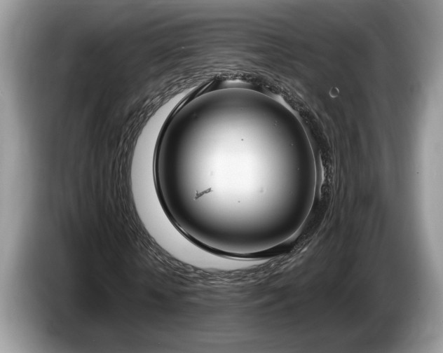 X0000087570818200704271245