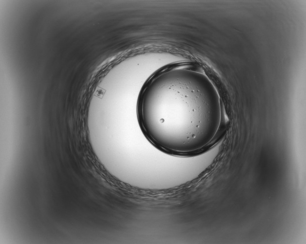 X0000087570824200704271245