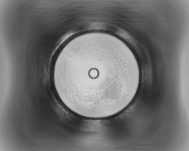 X0000087570828200704271245