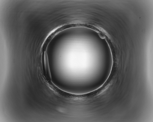 X0000087570830200704271245
