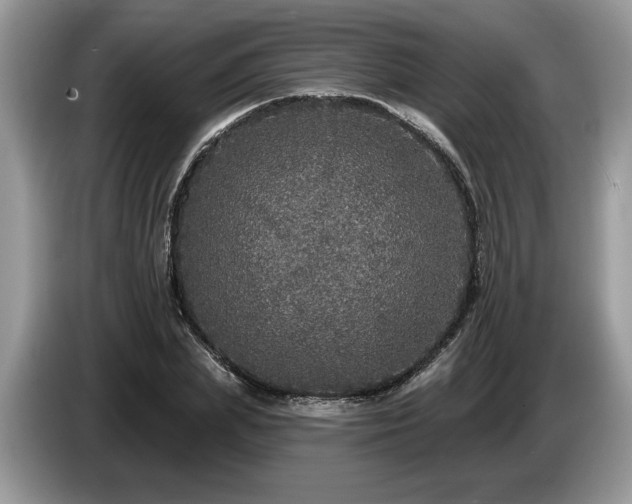 X0000087570831200704271245