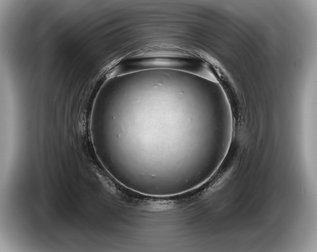X0000087570833200704271245