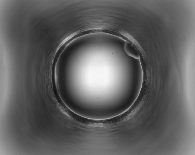X0000087570834200704271246