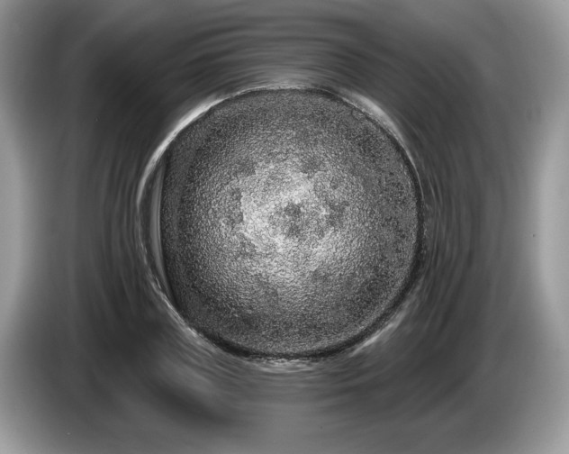 X0000087570835200704271246